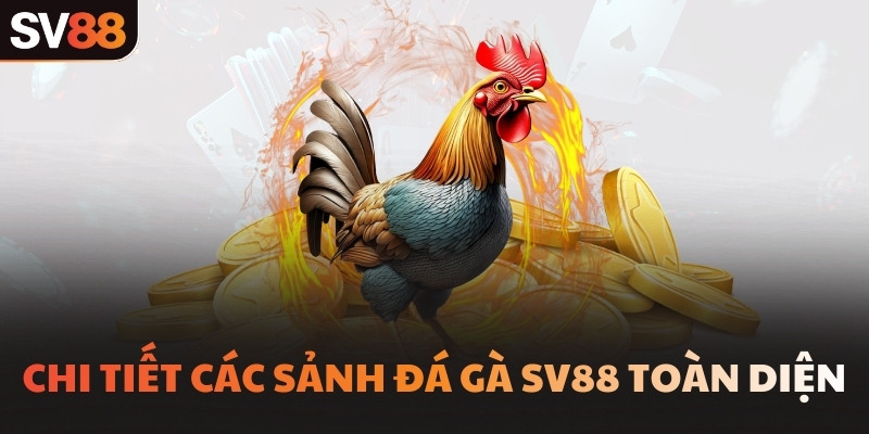 Chi tiết các sảnh Đá gà SV88 toàn diện