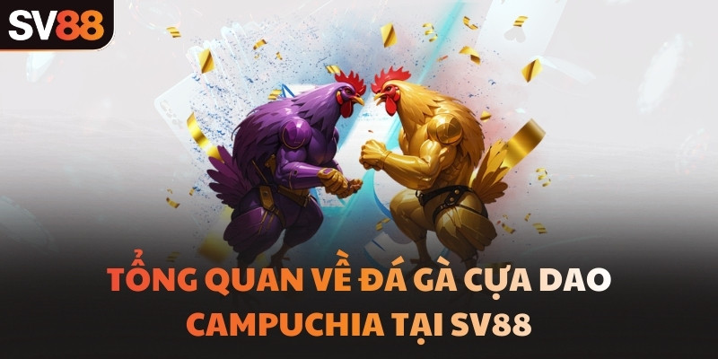 Tổng quan về đá gà cựa dao Campuchia tại SV88