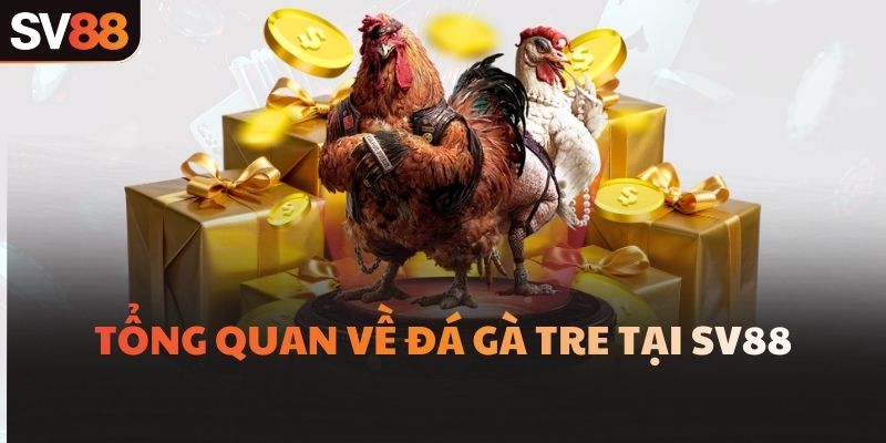 Tổng quan về đá gà tre tại SV88