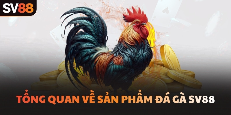 Tổng quan về sản phẩm đá gà SV88